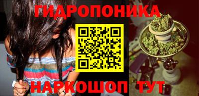дмт Тара