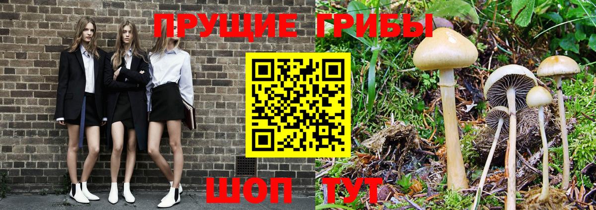 Псилоцибиновые грибы GOLDEN TEACHER  Вход с VPN  Павлово  Псилоцибиновые грибы Magic Shrooms 